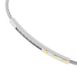 Bracelet jonc en or jaune et acier