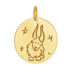 Médaille zodiaque en or jaune, capricorne