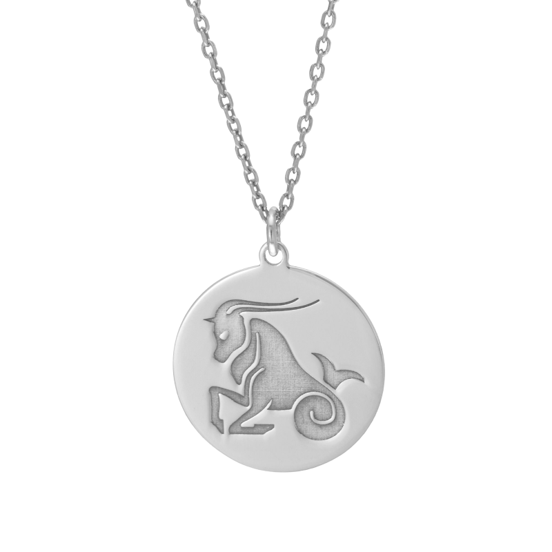 Collier en argent rhodié, zodiaque capricorne