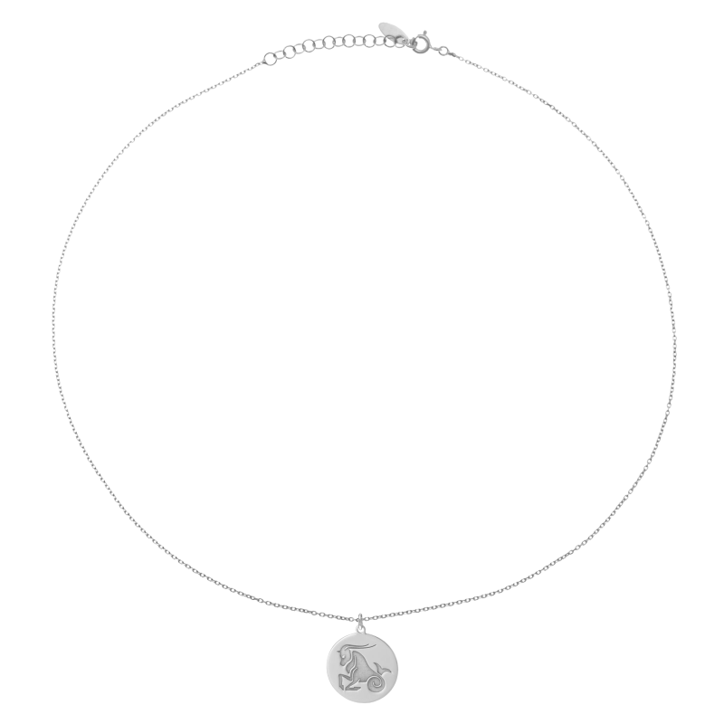 Collier en argent rhodié, zodiaque capricorne