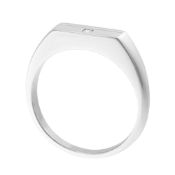 Bague en acier et oxyde de zirconium